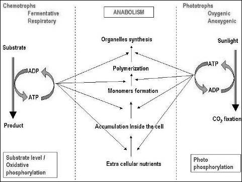 Description: Slide3