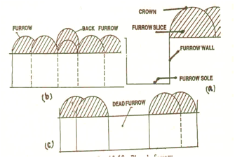 LEAD Technologies Inc. V1.01